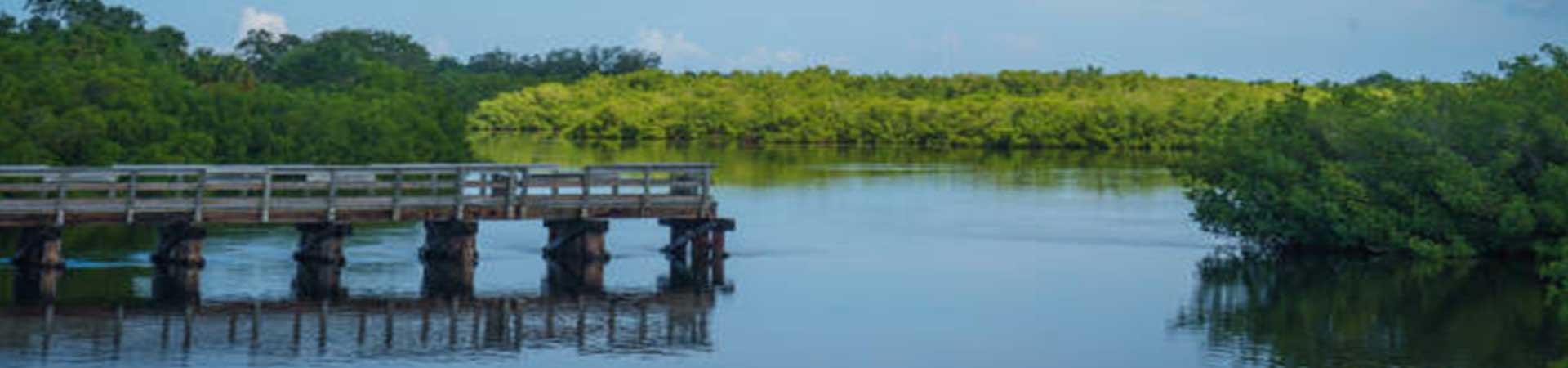 Tern Bay CDD Contact